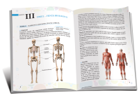 Științe clasa a 4-a Manual lucrativ (patrea 2)