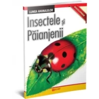 Insecte și păianjeni - Lumea animalelor