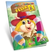 Lipim și colorăm - Felix