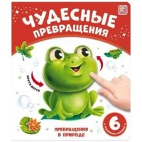 Чудесные превращения.Превращения в природе