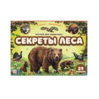 Плакат с окошками. Секреты леса