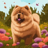Tablou pe numere "Chow-chow fermecator" 40x40cm KHO6548