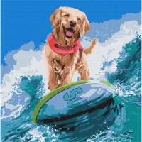 Tablou pe numere "Extrem de marin" 40x40cm KHO4468