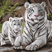 Tablou pe numere "Familie bengaleza" 40x40cm KHO4376