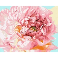 Tablou pe numere "Bujor" 40x50cm KHO2996