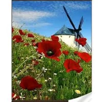 Mozaica cu Diamante 30x40 cm "Moara"