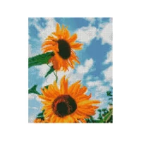 Mozaica cu Diamante 30x40 cm "Floarea soarelui"