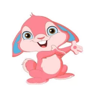 Tablou pe numere 30x30 cm "Iepuras"