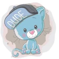 Tablou pe numere 30x30 cm "Pisicuța în Căciulită"