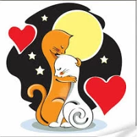 Tablou pe numere 30x30 cm "Povestile Pisicilor"