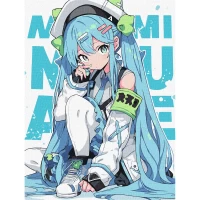 Tablouri pe numere "Fetita de neintrecut" 40x50 cm KHO8399