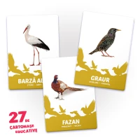 27 de cartonașe. Păsări