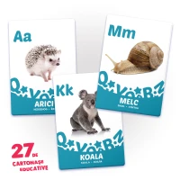 27 de cartonașe. Învăț alfabetul