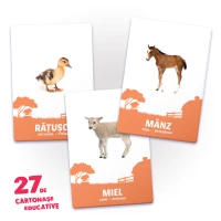 27 de cartonașe. Animale și puii lor