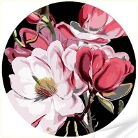 Tablou VINIL pe numere 30x30 cm "Mângâierea magnoliei"