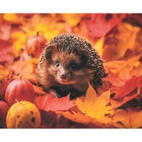 Mozaica cu Diamante 40x50 cm "Toamna în spini"