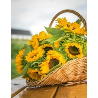 Mozaica cu Diamante 40x50 cm "Coșuleț cu floarea-soarelui"