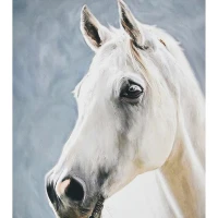 Mozaica cu Diamante 40x50 cm "Calul alb"