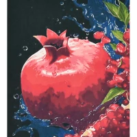 Mozaica cu Diamante 40x50 cm "Feeria granatului în apă"