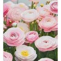 Mozaica cu Diamante 30x40 cm "Câmpia de bujori"