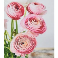 Mozaica cu Diamante 30x40 cm "Bujorii roz"