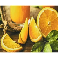 Mozaica cu Diamante 30x40 cm "Portocala suculentă"