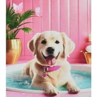 Mozaica cu Diamante 30x40 cm "Câinele în baie"