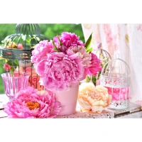 Mozaica cu Diamante 30x40 cm "Bujori roz"