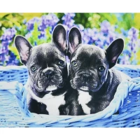 Mozaica cu Diamante 30x40 cm "Doi căței"