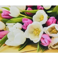 Mozaica cu Diamante 30x40 cm "Lalele"