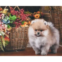 Mozaica cu Diamante 30x40 cm "Căţel lângă coş"