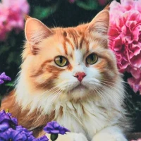 Mozaica cu Diamante 30x30 cm "Pisica în raiul florilor"