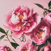 Mozaica cu Diamante 30x30 cm "Bujori pe fundal roz"