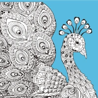 Set de desen Antistress 30x30 cm "Păun"