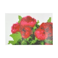 Mozaica cu Diamante 10x15 cm "Macii roșii"