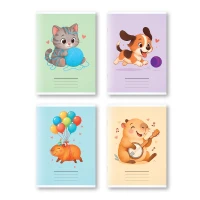 Caiet 24 foi Euro linie oblica deasa (Dorinta)