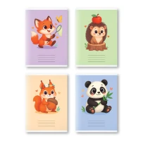 Caiet 24 foi Euro linie mica (Dorinta)